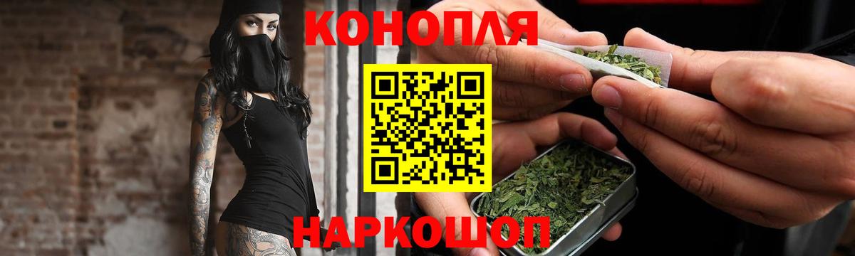 Конопля тримм  Конопля тримм  Усть-Илимск  Вход с VPN  МАРИХУАНА сатива 